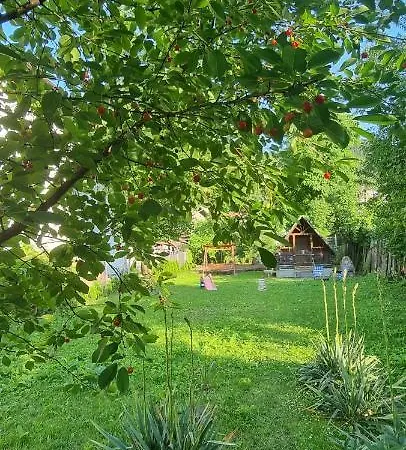 Apartment Happy Mood 5 Brașov