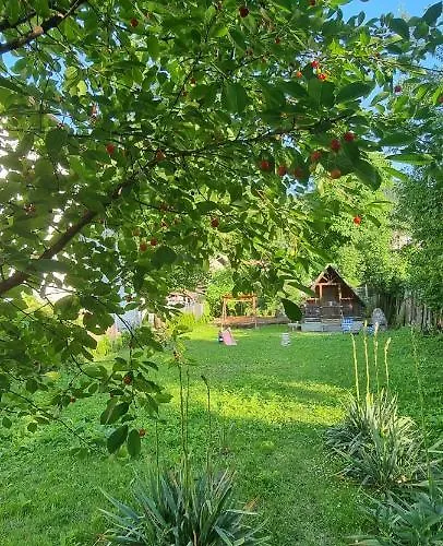 Lägenhet Happy Mood 5 Braşov